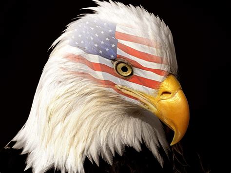 The Patriot Wallpapers | HD Wallpapers | ID #4859