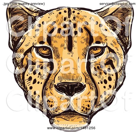 Cheetah Face Vector at GetDrawings | Free download