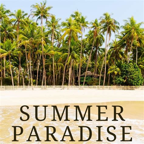 Summer Paradise - Various Artists - 专辑 - 网易云音乐