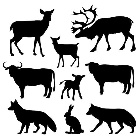 Premium Vector | The animals of the forest