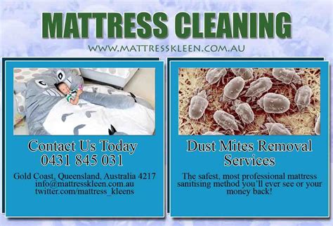 Mattress Cleaning Top Suggestion 2015 | Mattress cleaning, Dust mites, Cleaning