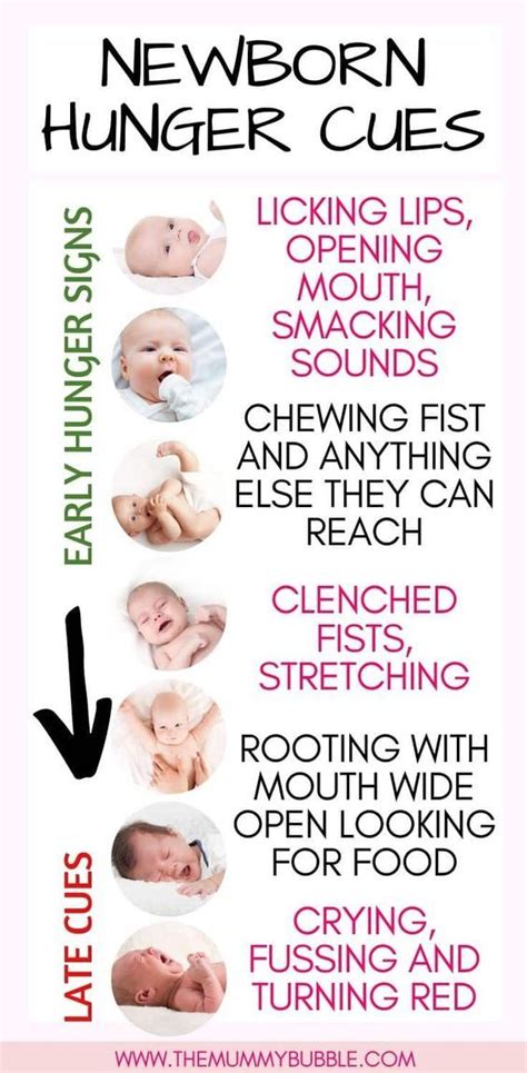 Newborn hunger cues | Baby crying, Baby facts, Newborn baby tips