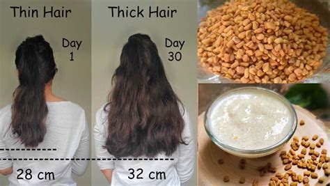 5 Fenugreek Hair Masks for Hair Growth & Hair Fall