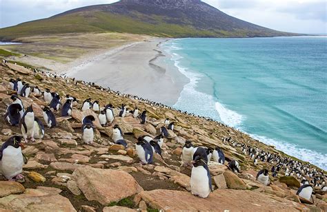 An essential guide to the Falkland Islands - Lonely Planet