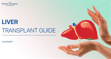 Liver Transplant Diagram