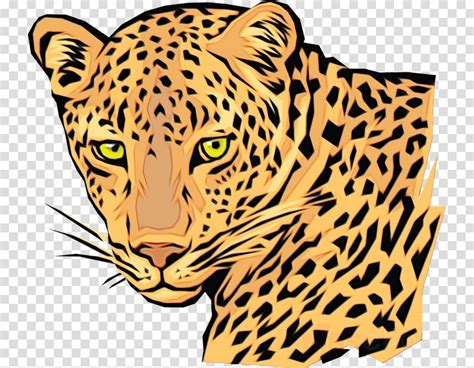 Leopard clipart african leopard, Leopard african leopard Transparent ...