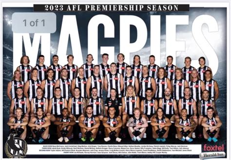 2023 COLLINGWOOD MAGPIES AFL football team poster, FREE POST 9 $12.99 - PicClick AU