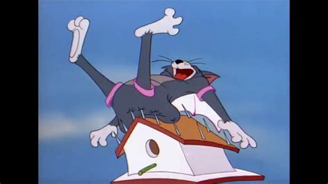 Tom and Jerry, 63 Episode The Flying Cat 1952 - YouTube