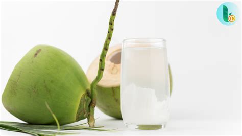 How to Store Coconut for Export: A Step-by-Step Guide | by Lcdfruit ...