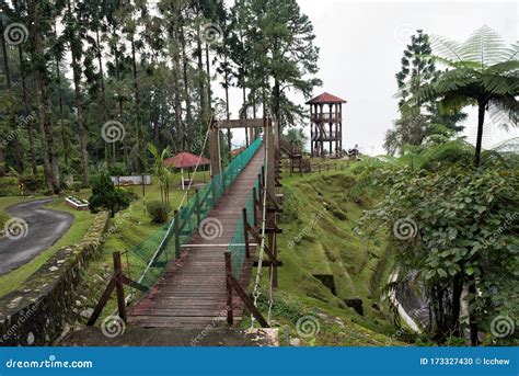 Bukit Larut, Malaysia, is One of Tourist Attraction in Taiping Can Be ...