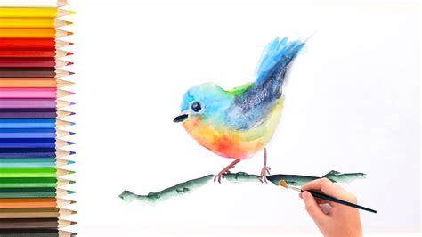 watercolor-tutorial-how-to-paint-bird - Artist Singapore