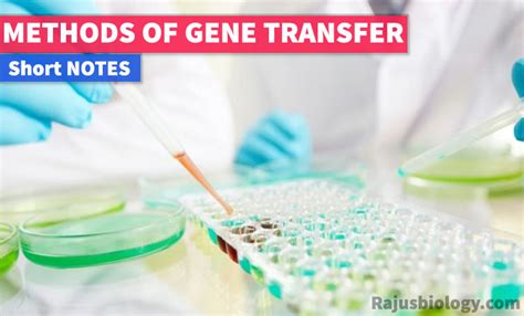 Methods of Gene Transfer Short Notes - Rajus Biology