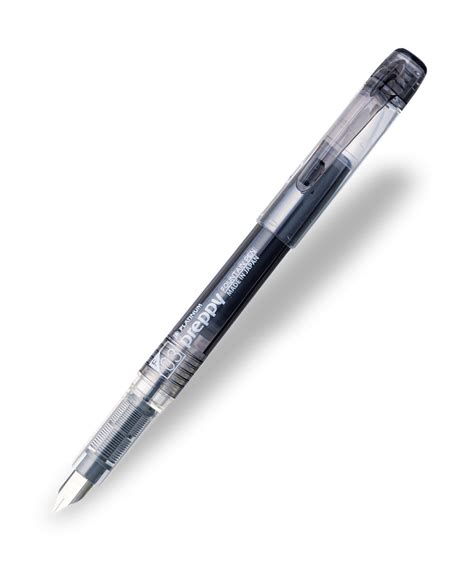 Platinum Preppy Fountain Pen - Black | The Hamilton Pen Company