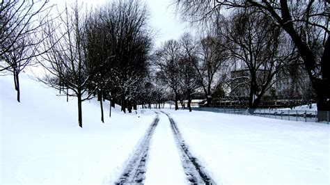 39 gorgeous pictures of Glasgow in the snow - Time Out Glasgow