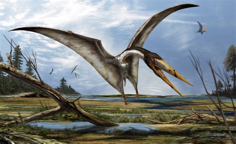 An artist’s impression of the azhdarchids pterosaur Alanqa saharica. Image credit: Davide Bonadonna.