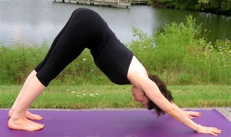 Downward Facing Dog (Adho Mukha Svanasana) Yoga Pose