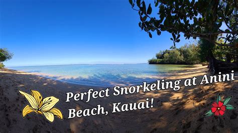 Perfect Snorkeling at Anini Beach, Kauai - YouTube