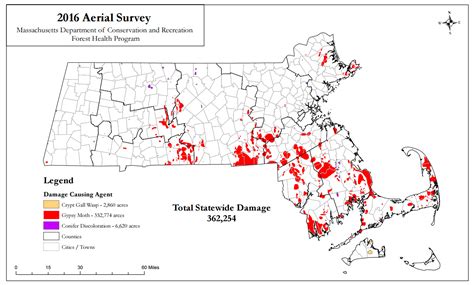 350,000+ acres of trees damaged by gypsy moth caterpillars