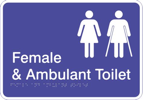 Visualise Female & Female Ambulant Toilet - Visualise