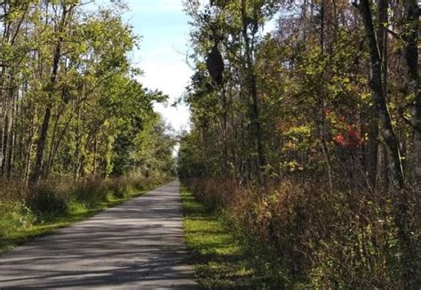 Cycling on the Van Fleet State Trail | Florida State Parks