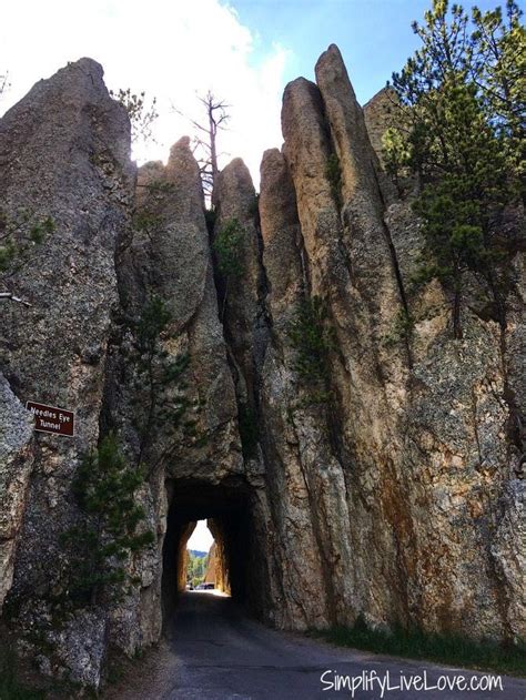 Two Amazing Drives to Take at Custer State Park, South Dakota | South dakota vacation, Custer ...