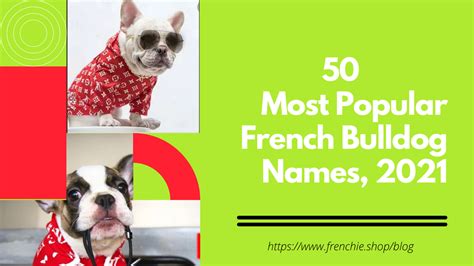 50 Most Popular French Bulldog Names – frenchie Shop