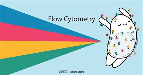 flow cytometry – Cell Cartoons