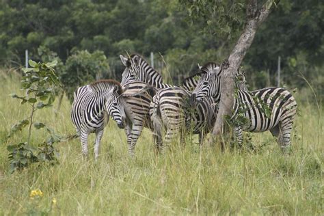 Discover Nature at Shai Hills 2022 - Accra - Viator