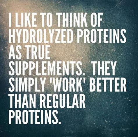 Hydrolyzed Proteins Are The Real Protein Supplements - Proteinfactory