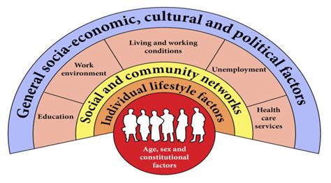 Dahlgren and Whitehead's model of health determinants. Adapted from... | Download Scientific Diagram