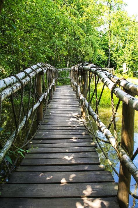 Wooden bridge in nature stock image. Image of colorful - 12495381