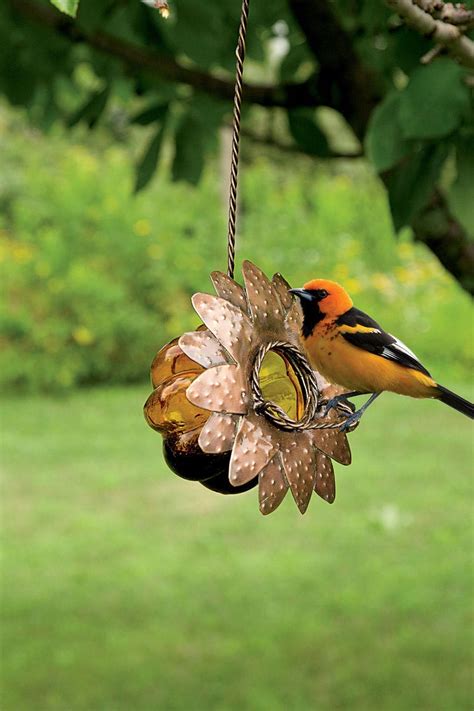 Oriole Bird Feeder Reviews