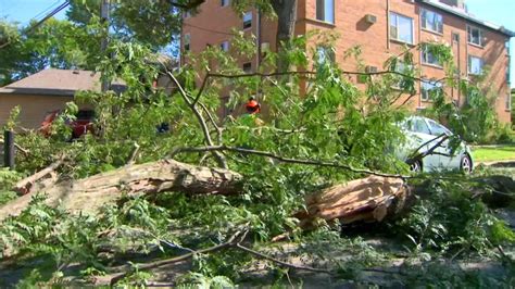 Monday Tornado in Chicago’s Rogers Park Neighborhood a ‘Once-in-a ...