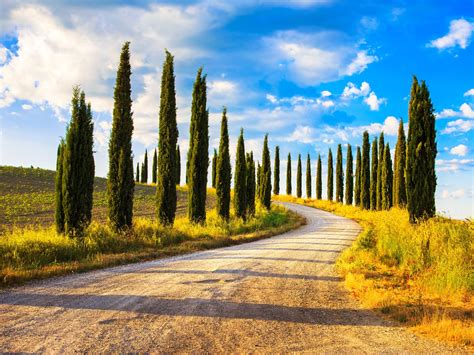 6 of the most epic drives in the world | Country roads, Cypress trees, Places in europe