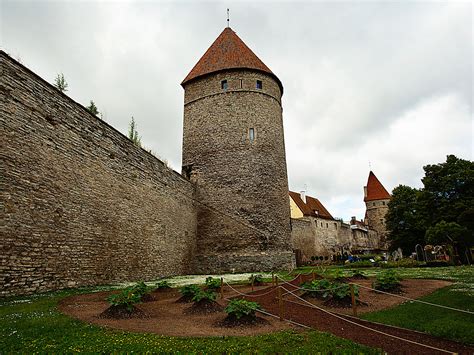 Guard tower and castle walls encasing the old medieval city of Tallinn ...