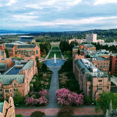 University of Washington SOM Admissions Guide & Counseling