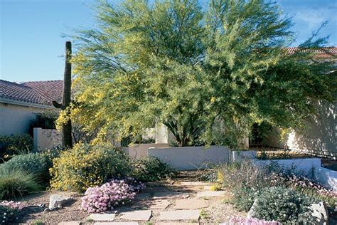 Xeriscape Landscaping with Style in the Arizona Desert photos of ...