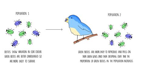 Evolution OCR — the science sauce