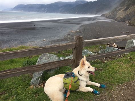 Lost Coast Trail: Mattole to Black Sands Beach - California | AllTrails.com Backpacking Travel ...