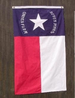 Essential Gear Outfitters :: HOOD'S TEXAS BRIGADE FLAG 3X5 SEWN COTTON