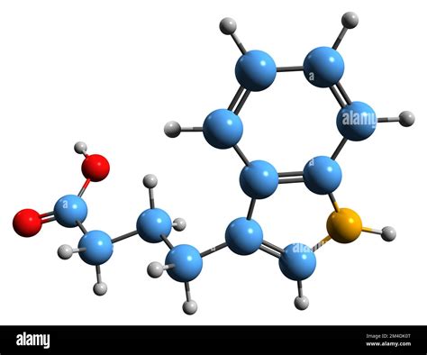 3D image of Indole-3-butyric acid skeletal formula - molecular chemical structure of plant ...