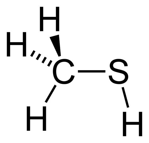 Smell and tell: gas, coffee and chemicals – Scientific Scribbles