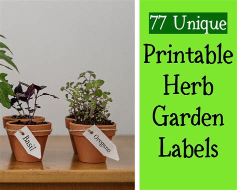 Herb Garden Labels Printable Fun Whimsical Font Unique | Etsy