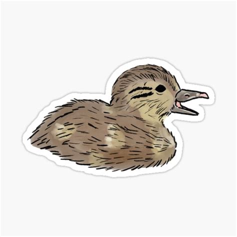 "Ducky" Sticker for Sale by Chicowboiart | Redbubble