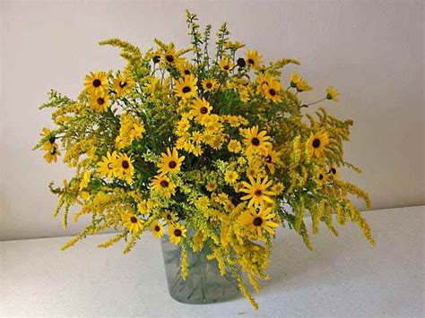 Goldenrod and Aster bouquet (Goldenrod bloom July through September in ...