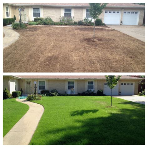 Seeding Your Lawn the Classic Lawns Way! – Old – Classic Lawns