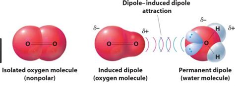 Intermolecular forces - Class 11, States of Matter