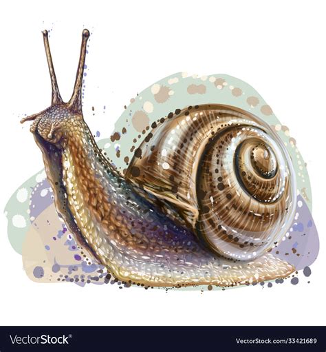 Snail realistic color artistic portrait Royalty Free Vector