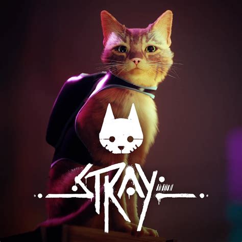 Stray Game Wallpapers - Wallpaper Cave