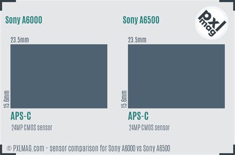 Sony A6000 vs Sony A6500 In Depth Comparison - PXLMAG.com